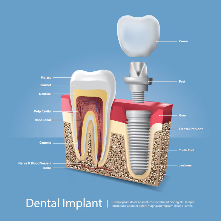 Dental Clinic in Gautam Budh Nagar